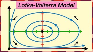 PredatorPrey Population Models  LotkaVolterra Equations [upl. by Ewolram]