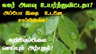 💥சுகர் அளவு உயர்ந்துவிட்டதா  benefits tamil curryleaves [upl. by Martreb]