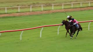 Mareeba 20240407 Race 6 [upl. by Nalro]