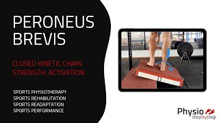 PERONEUS BREVIS  Closed Kinetic Chain Strength Activation [upl. by Annairda566]