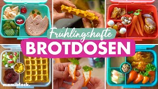 5 schnelle Brotdosen im Frühling 🌷☀️  Snacks amp einfache Ideen 🥕 mamiblock [upl. by Nirehtac634]