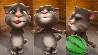 tom cat funny moments [upl. by Eanal981]