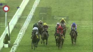 2016 Ascot Betfair Chase  Silviniaco Conti  Racing TV [upl. by Nawotna]