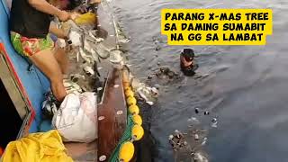 MUNTIK UMAPAW ANG BODEGA  highlights fishing [upl. by Esma]