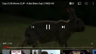 CUJO is one of the best Animal Horror movies ever made [upl. by Aziram525]