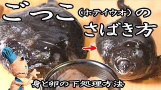 ［解説付き］【冬が旬の旨い珍魚】ごっこ「布袋魚ホテイウオ」のさばき方と卵の下処理 How to prepare Smooth lumpsuckerFish gelatinous [upl. by Gladis639]