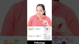 1 minute learning Anisocytosis and Poikilocytosis [upl. by Anastasia]