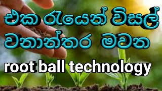 what is root ball technology  how to use root ball technology safety three [upl. by Aicillyhp]