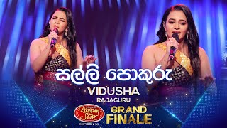 Salli Pokuru සල්ලි පොකුරු  Vidusha Rajaguru  Derana Dream Star Season 11  GRAND FINALE [upl. by Caesaria]