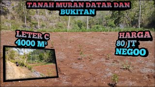 ‼️TANAH MURAH LTR C 4000 M² COCOK BUAT KEBUN DN INVES HRG 80 JT ‼️jualtanah tanahmurahgunungkidul [upl. by Deenya]