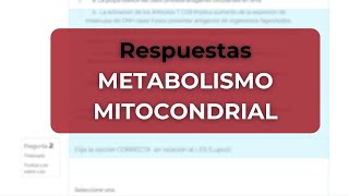 Todo Sobre el Metabolismo Mitocondrial [upl. by Chon]