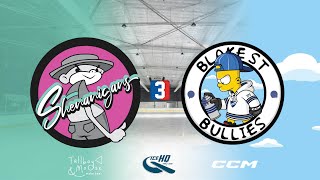 Shenanigans v Blake St Bullies  Div 3  15th October  IceHQ Rec League ice hockey [upl. by Ahsenhoj]