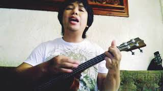 Dyer Maker  Led Zeppelin Ukulele Cover [upl. by Navlys]