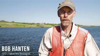 A Day in the Life  GFP Fisheries Biologist [upl. by Raquel256]