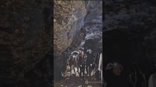 Unveiling the Secrets of the Lascaux Caves [upl. by Braca]