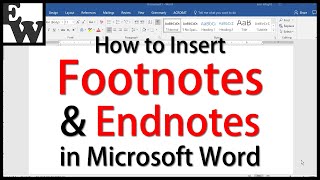 How to Insert Footnotes and Endnotes in Microsoft Word [upl. by Eidnam916]