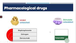 Pharmacology Osteoporosis Part 2 [upl. by Sheree]