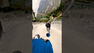 Parka na travel tour viralvideo bridge river music fypシ゚viral trending manang goviral [upl. by Dita]