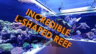 INCREDIBLE LSHAPED REEF AQUARIUM 3500 LITRES [upl. by Burman]