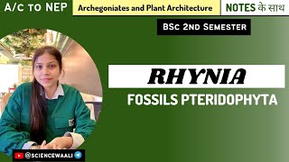 Characteristics Morphology and Reproduction of Rhynia  OneShot  BSC Science [upl. by Devonna816]