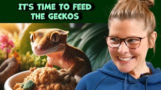 Hand Feeding Our Baby Geckos [upl. by Leipzig]