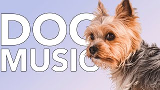 Dog Music This Music Has Relaxed Millions of Dogs Worldwide NEW [upl. by Abercromby635]