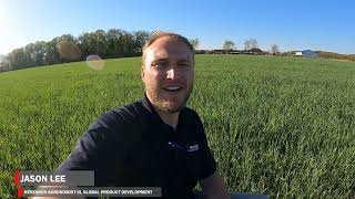 Tips for cover cropping with cereal rye in between corn and soybeans [upl. by Ramiah]