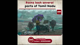 Rains lash several parts of Tamil Nadu  TAMIL NADU  RAJ MEDIA [upl. by Lucina]