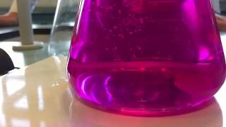 NaOH in HCL wPhenolphthalein indicator [upl. by Ellennej]