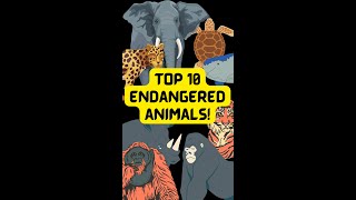 Top 10 endangered animals  Protect wildlife [upl. by Ellary823]