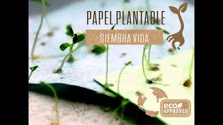 Papel Semilla Plantable Siembra Vida Lima Peru Merchandising Ecologico Cel 994 048 717 [upl. by Lanoil]