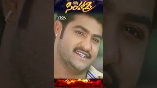 shorts  NTR reminding Nassar words to BhanuChandar Simhadri ntrmovies simhadri4k ntr30 [upl. by Nocam]