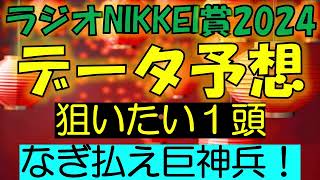 ラジオNIKKEI賞2024 データ予想 [upl. by Artek215]