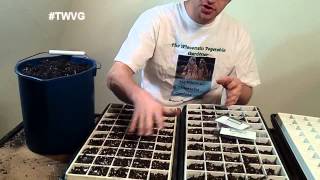 Starting Onion amp Leek Seeds The Wisconsin Vegetable Gardener extra 31 [upl. by Chatav]