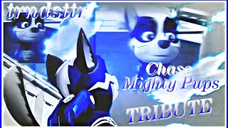 💫 CHASE TRIBUTE 💫 Mighty Chase  Mighty Pups  Trndsttr  PAW PATROL mv [upl. by Pickar]