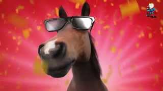 Horse  Happy Birthday Video Greeting Card [upl. by Cochrane]