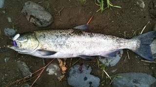 Frugal Fisherman Episode 1  Making Weighted Casting Spinners for Salmon and Steelhead [upl. by Gies]