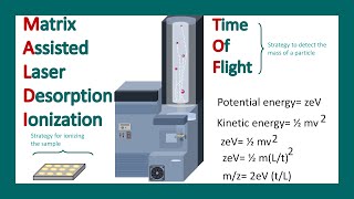 MALDITOF MS  What are the applications of MALDITOF  Mass spectrometry [upl. by Morna]