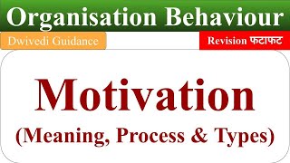 motivation meaning types of motivation process of motivation organisational behaviour motivation [upl. by Chong576]