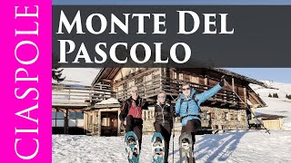 Escursione invernale al Monte del PascoloKönigsanger [upl. by Eissat]