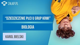 Dziedziczenie płci u grup krwi Załappl [upl. by Eirrok]