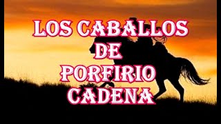 Los Caballos de Porfirio Cadena elojodevidrio radionovela [upl. by Llejk]