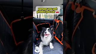 Ultimate Dog 🐶Car Seat cover petlover caraccessories petsefety smartgadget shorts [upl. by Yoccm]