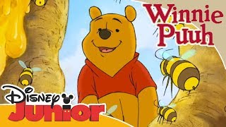 Kleine Abenteuer mit Winnie Puuh  Puuh und die Honigbienen  Disney Junior [upl. by Swinton]