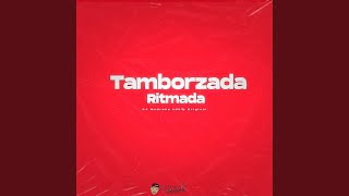 Tamborzada Ritmada [upl. by Gittel]