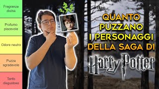 Quanto PUZZANO i personaggi di HARRY POTTER  TIER LIST [upl. by Latoye419]