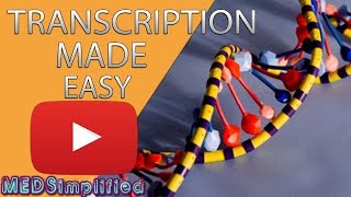 Transcription Made Easy From DNA to RNA 2019 [upl. by Jelena]