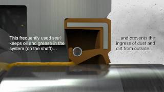 Shaft Seals amp Rotary Seals — Trelleborg Sealing Solutions [upl. by Jemmie]