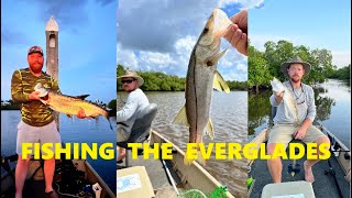 Everglades Fishing  Everglades City [upl. by Lussier]