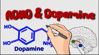 Understanding ADHD amp Dopamine Its More Than a Deficit [upl. by Ahsilra530]